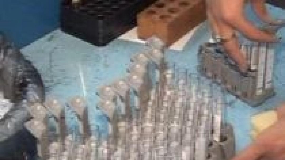 vaccinul anti ah1n1 fabricat prin multiplicarea virusurilor gripate pe oua vezi cum este produs