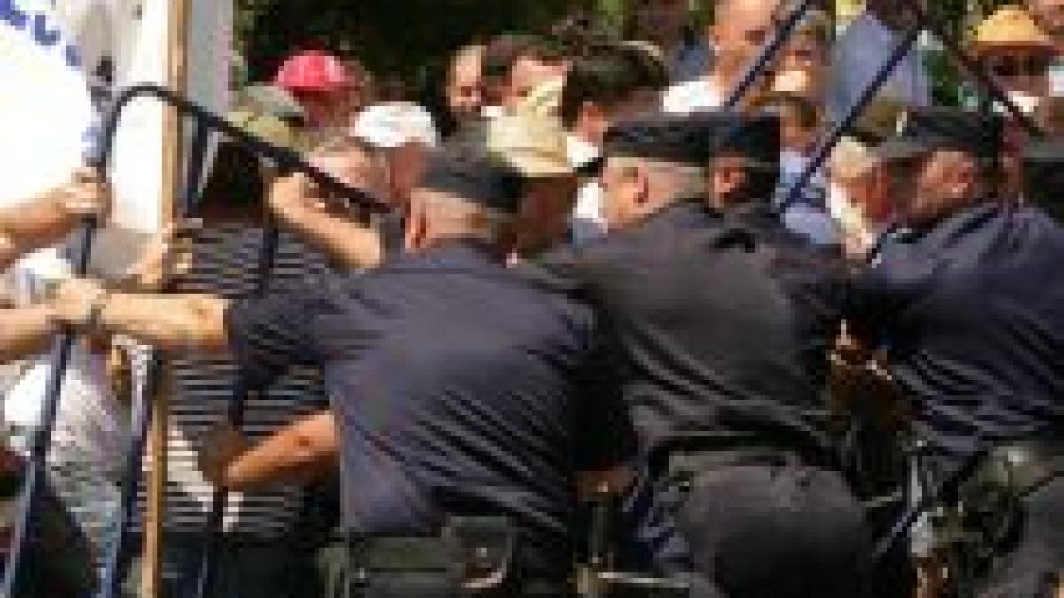 fermierii isi vor primi subventiile pentru cresterea animalelor de la banci