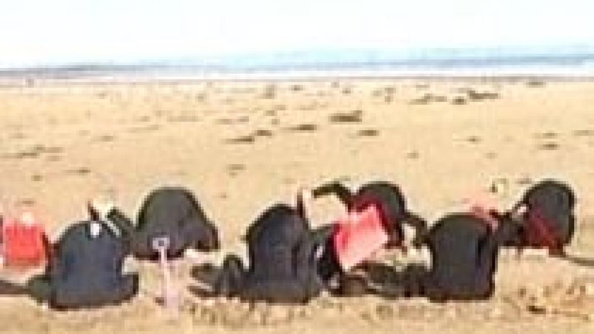 scotia militantii antiglobalizare au protestat cu capetele in nisip video