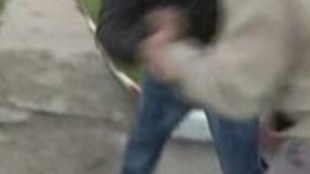 incaierare intre un consilier liberal si un sustinator pd l care taia afise electorale video