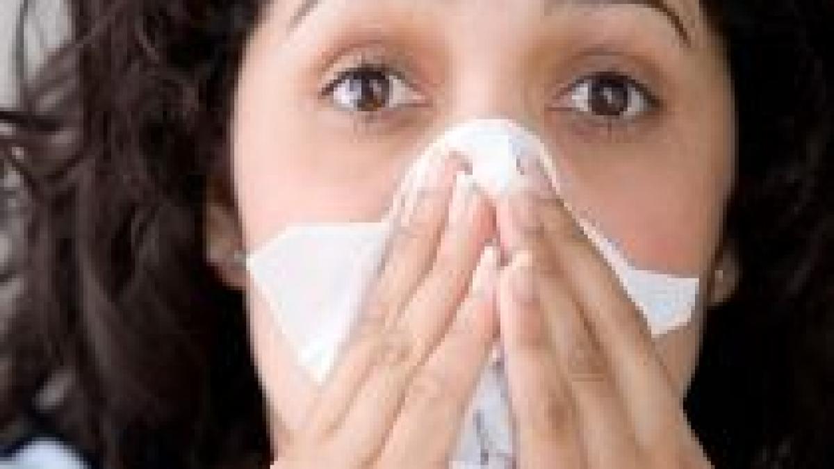 studiu tinerii sunt mai predispusi la imbolnavirea de gripa porcina