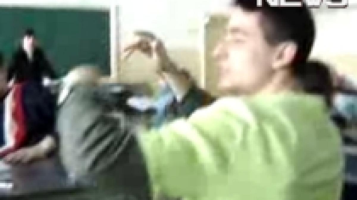 manelisti sau economisti un grup de elevi canta si danseaza sub privirile profesorului video