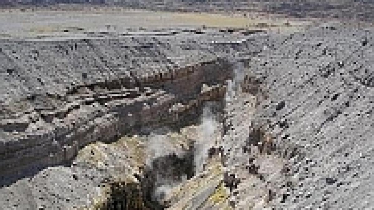 studiu in africa ar putea aparea un ocean