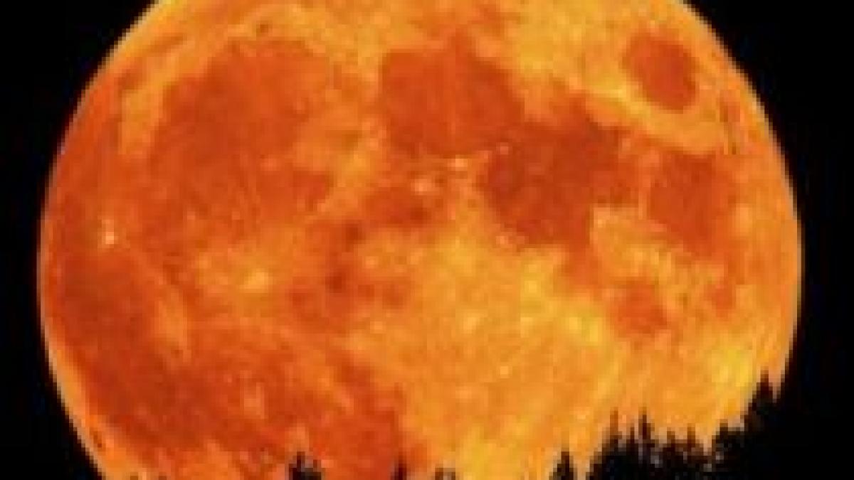 nasa a descoperit apa pe luna