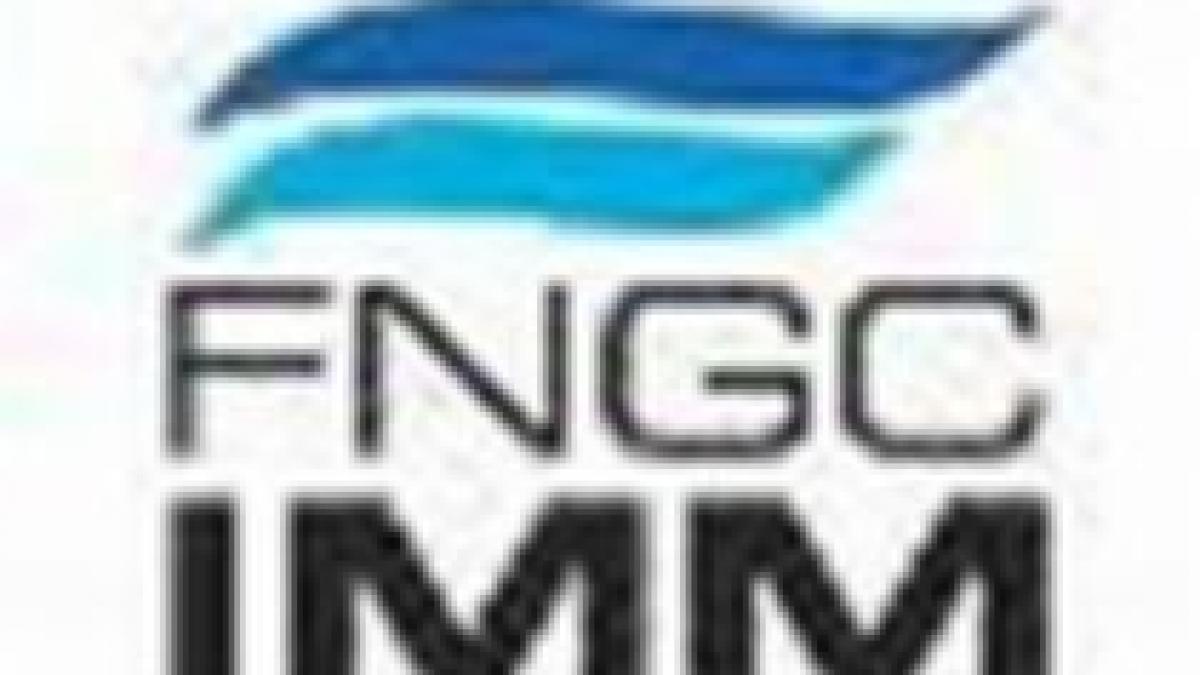 echilibru intre prima casa si imm uri rezultatele fngcimm la 10 luni