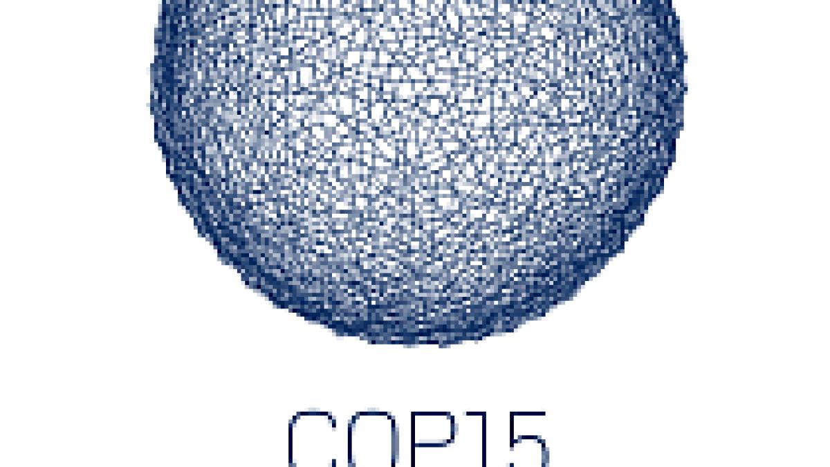 liderii mondiali recunosc ca nu pot ajunge la un acord privind schimbarea climatica