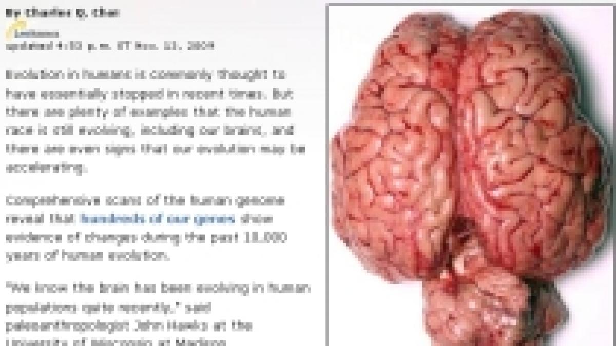 studiu creierul oamenilor se micsoreaza insa rasa umana evolueaza