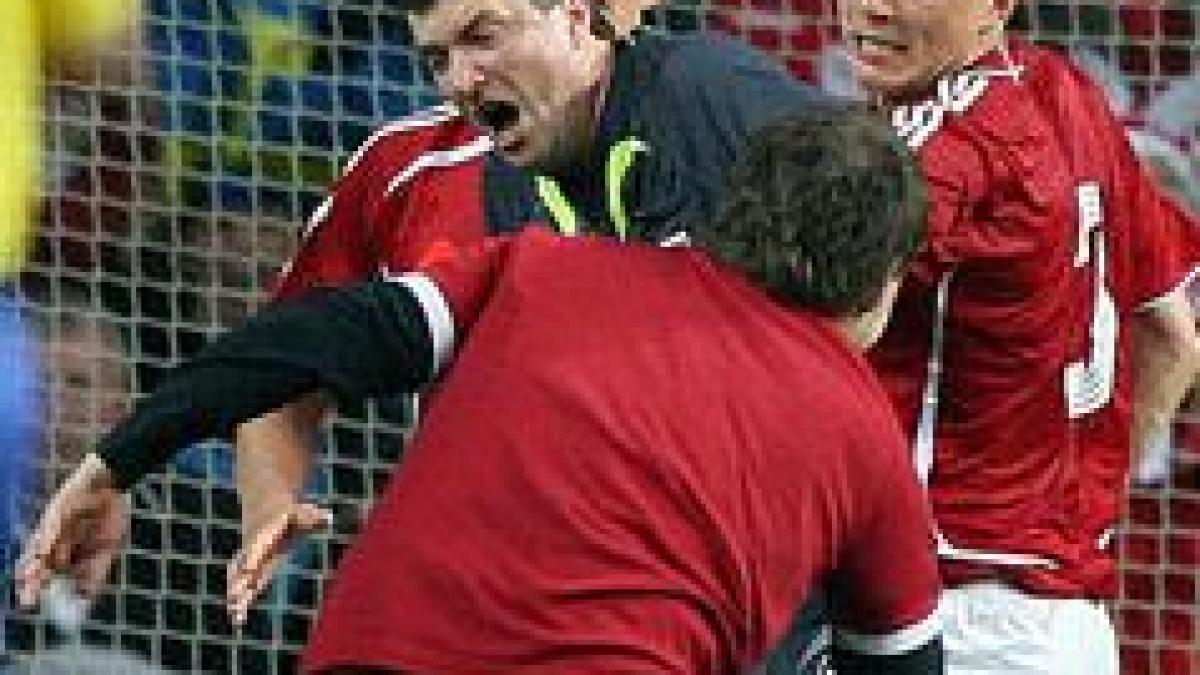 fanul care a intrerupt partida danemarca suedia in 2007 obligat sa plateasca 120 000 de euro daune