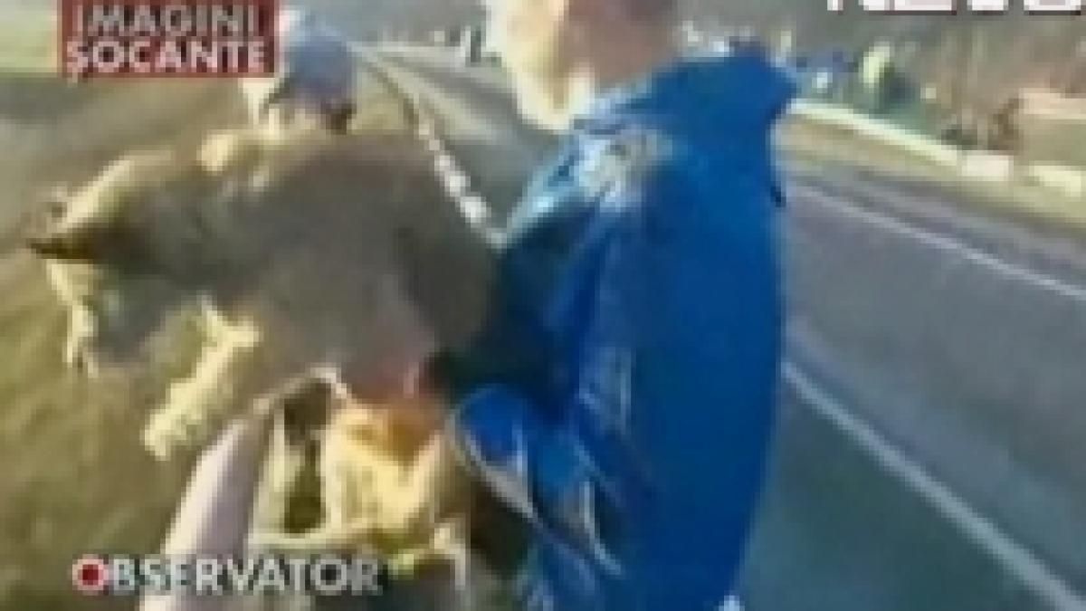 un tanar lituanian a aruncat un caine de pe pod imagini socante