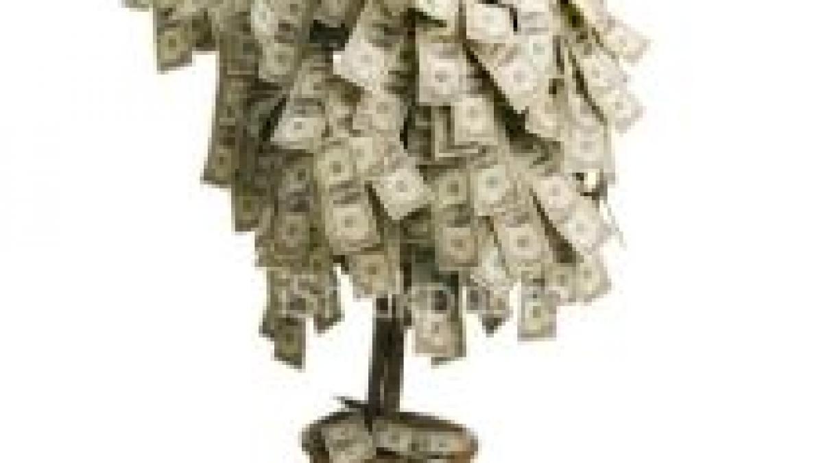 ce incertitudinea politica nu a influentat evolutiile economice recente