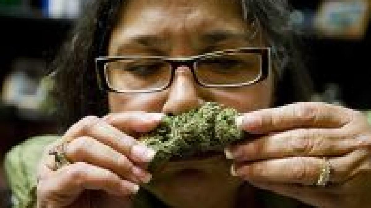 S-a deschis prima cafenea în care se poate consuma marijuana din SUA