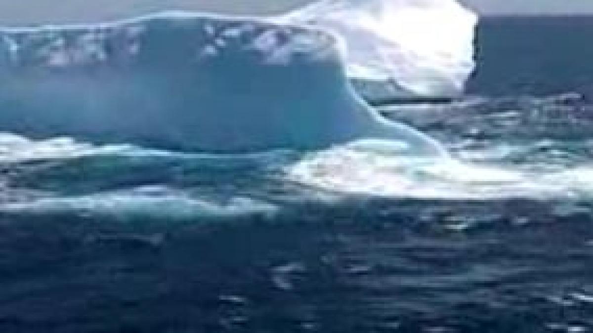 invazia aisbergurilor peste 100 de blocuri de gheata se indreapta spre noua zeelanda video