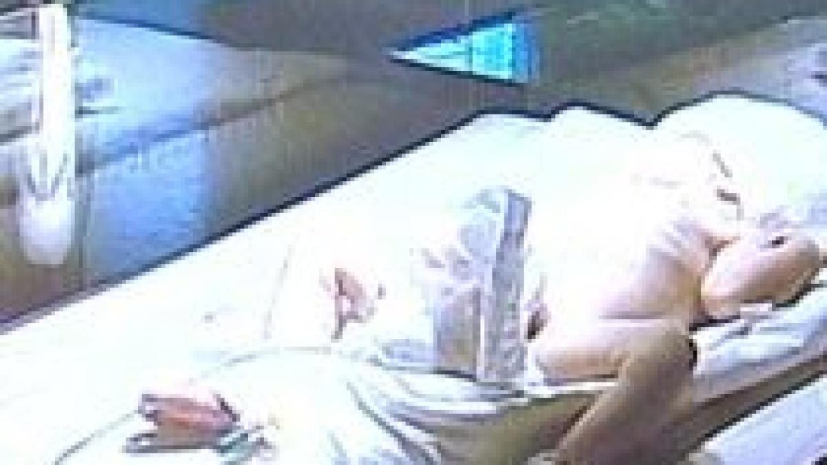 s a nascut primul copil suspect de gripa porcina din romania