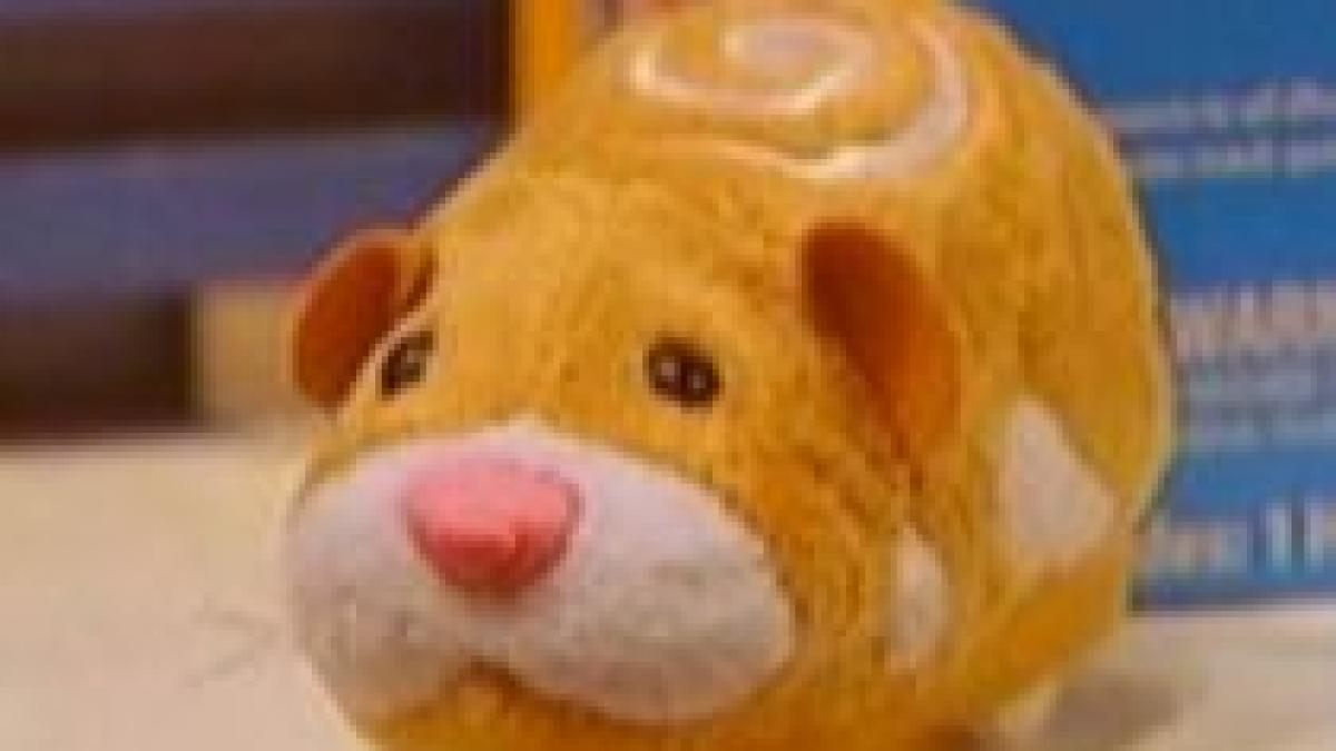 hamsterii zhu zhu cele mai populare jucarii din sua video