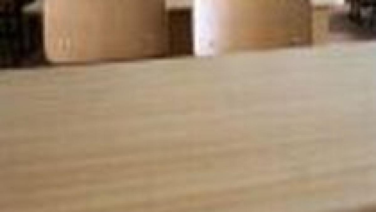 ziua libera impusa de guvern soldata cu scoli goale si oameni care nu si pot rezolva problemele