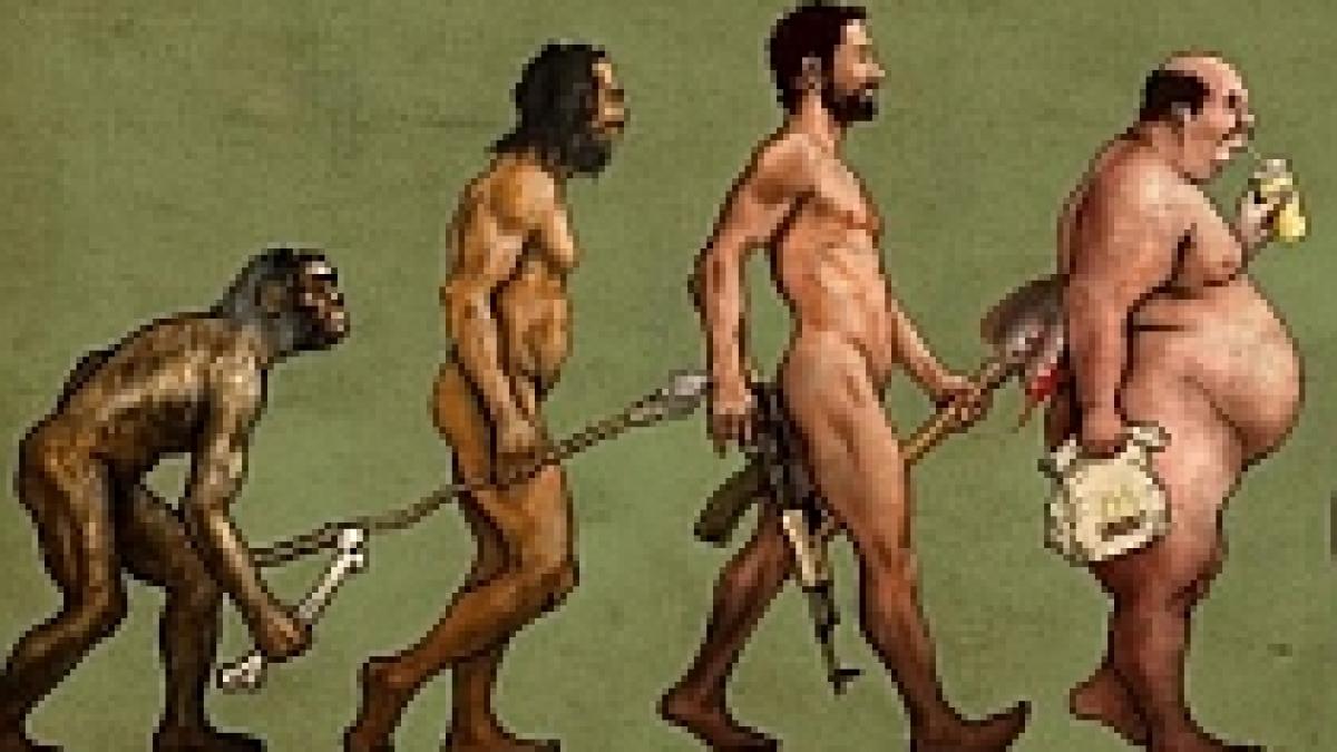 studiu privind evolutia omului mai inceti mai putin puternici si mai grasi