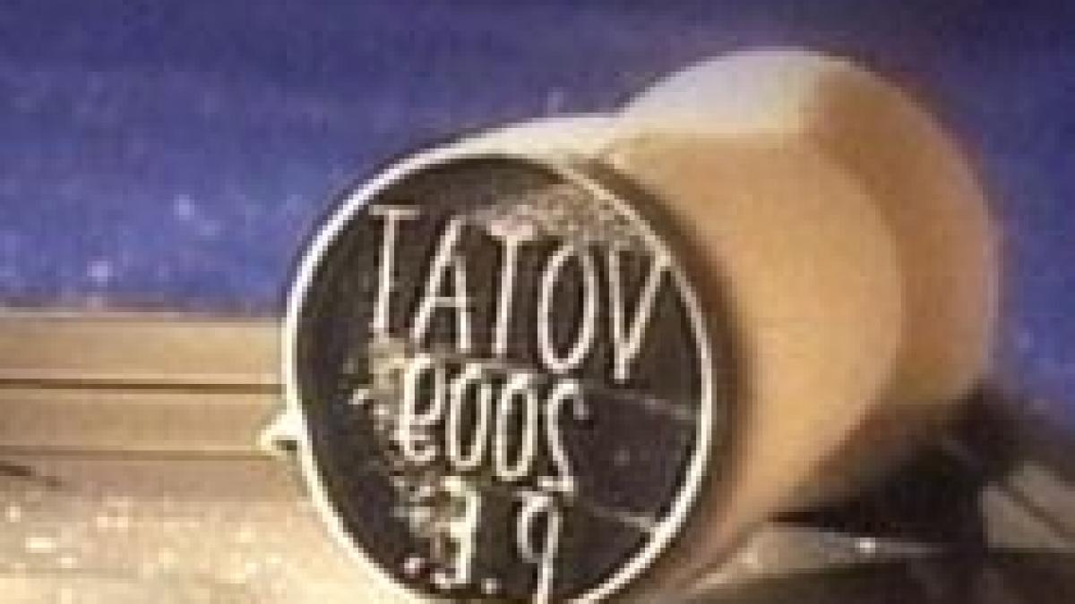 romanii din noua zeelanda incep sa voteze