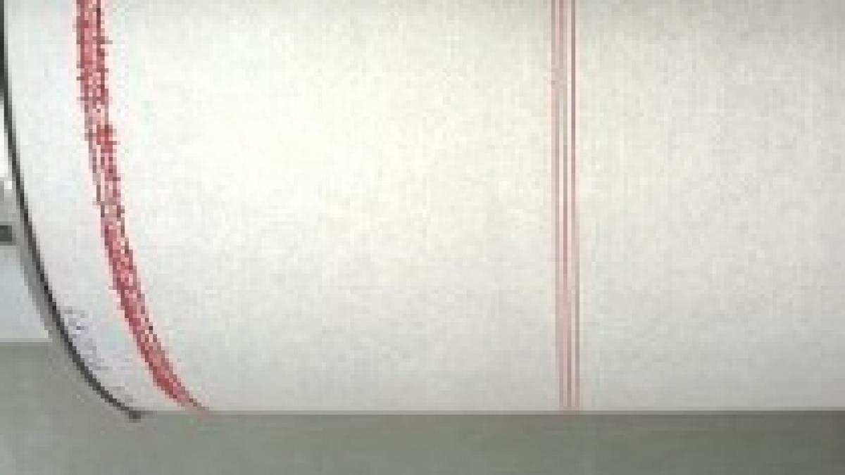 seism de 3 9 grade pe scara richter in vrancea