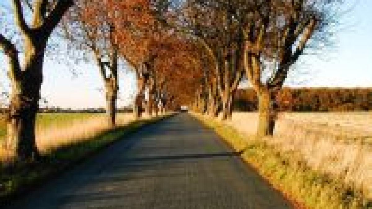 prognoza meteo pentru vineri 11 decembrie