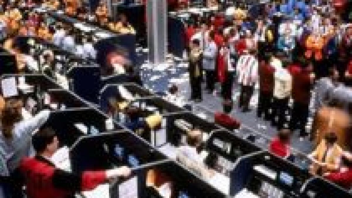 bursa americana isi reia cresterea