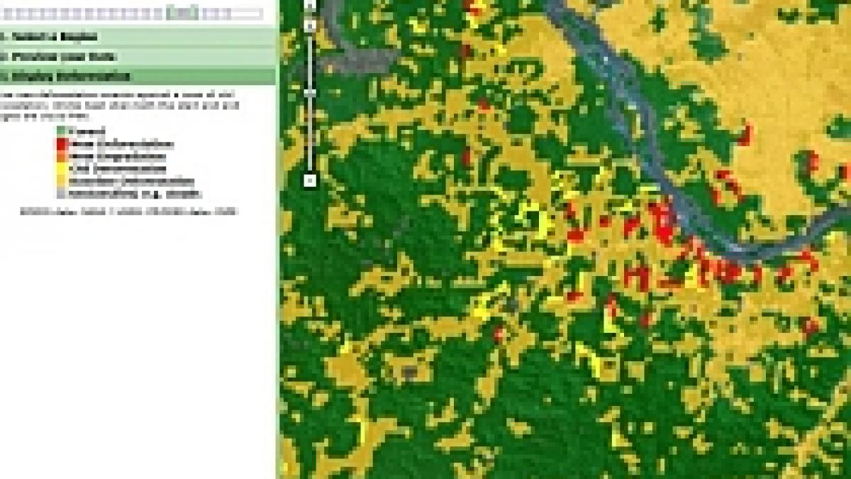 google a prezentat tehnologia de monitorizare a despaduririlor