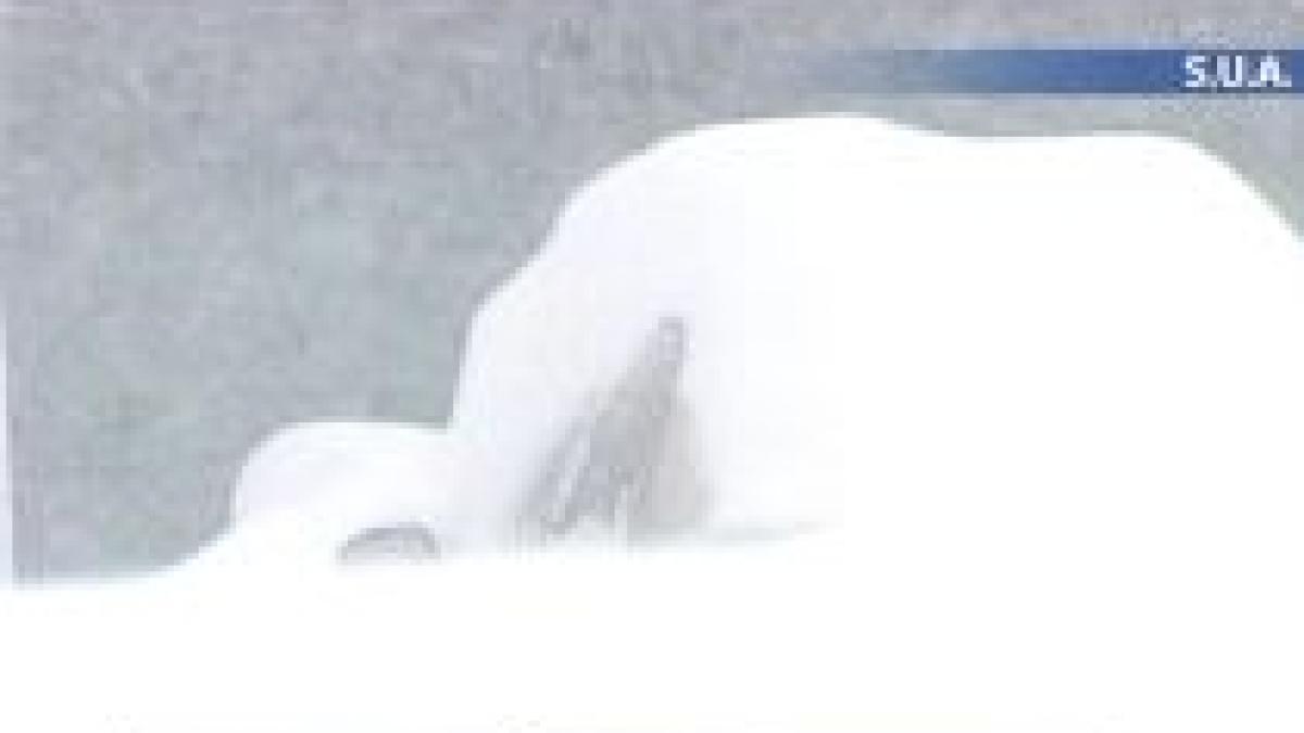 statele unite grav afectate de furtunile de zapada si temperaturile extrem de scazute