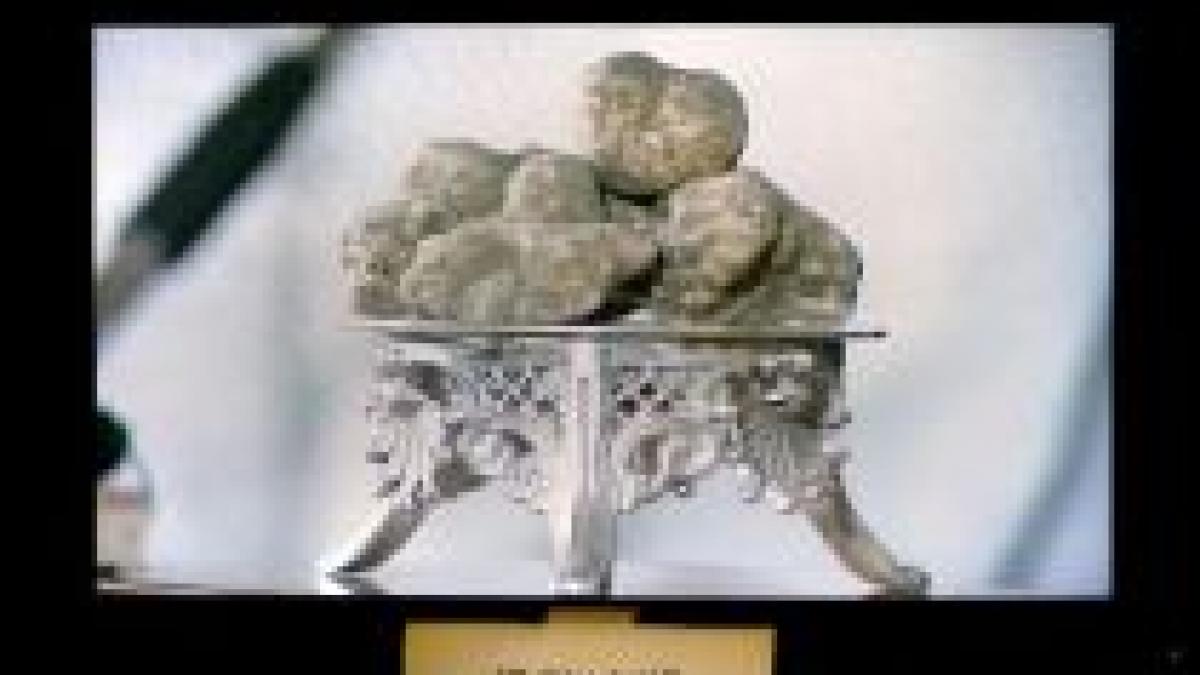 licitatie la roma un gurmand si a cumparat doua trufe albe cu 250 000 de dolari