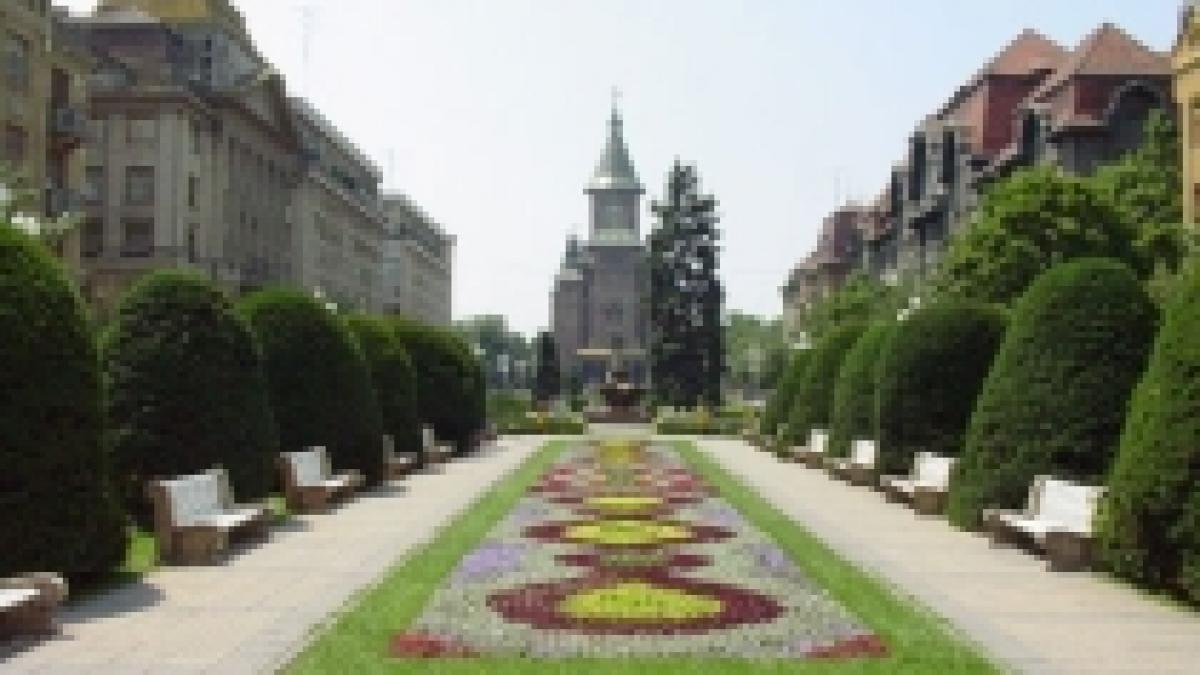 manifest inedit ploaie de poeme in timisoara pe 18 decembrie