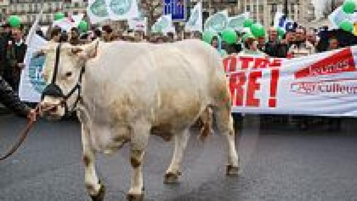 franta zeci de fermieri au protestat langa palatul elysee fata de declinul agriculturii