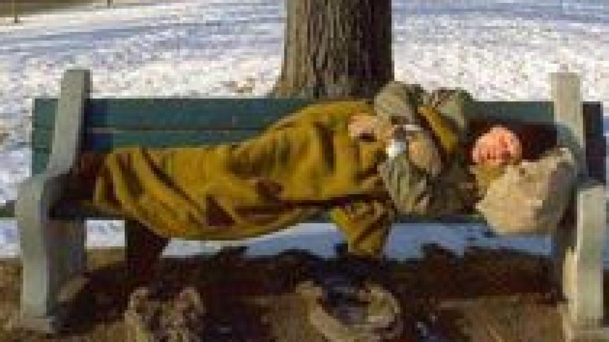 primele victime ale frigului trei oameni fara adapost gasiti morti in zapada