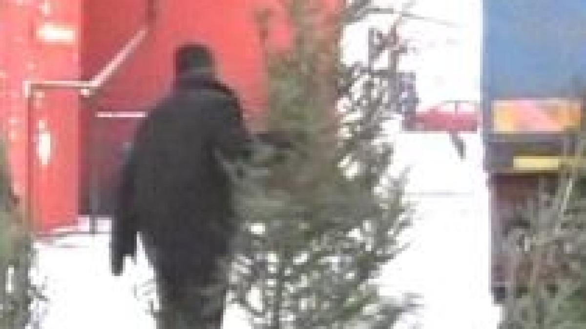 aproape 8 000 de brazi confiscati de la comerciantii ilegali