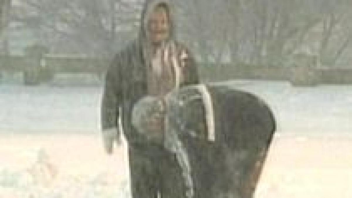 80 de persoane au murit in europa din cauza frigului traficul aerian si feroviar perturbat pe