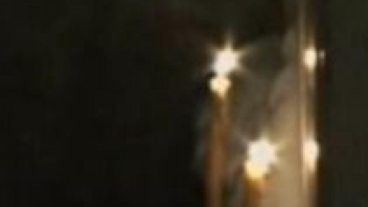 gorj sute de familii in intuneric dupa ce mai multi brazi au cazut peste cablurile electrice