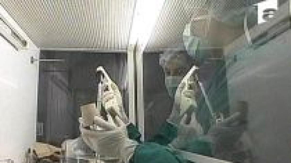 studiu adolescentele care isi incep viata sexuala prea devreme de doua ori mai predispuse