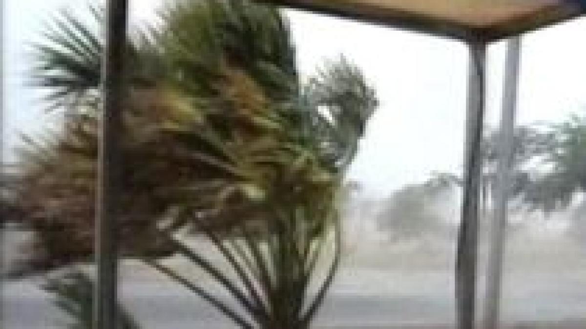 ciclonul laurence a ajuns in australia rafalele de vant au atins 215 km h video