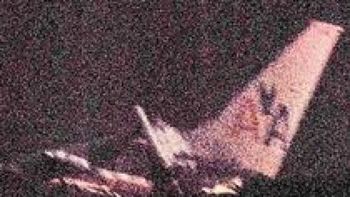 un avion s a rupt pe pista la aterizare in jamaica 40 de persoane au fost ranite video