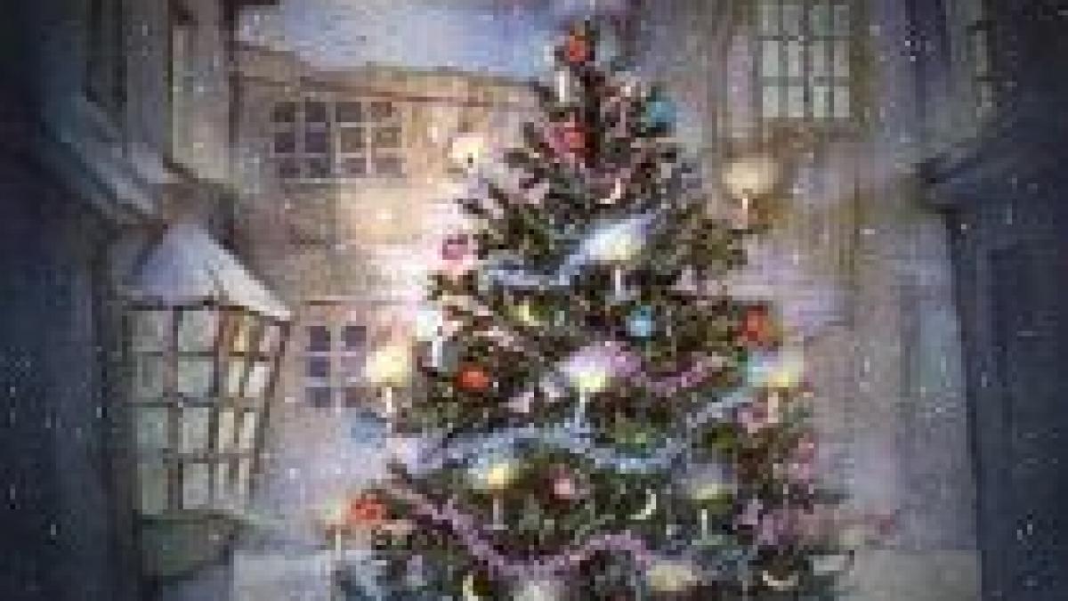 brazi de criza cu o zi inainte de craciun 20 de lei bucata