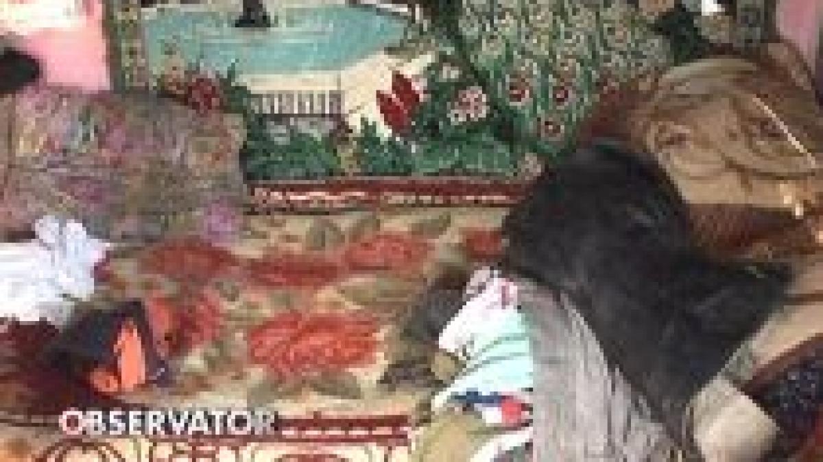 gemeni de patru luni gasiti morti in a doua zi de craciun video