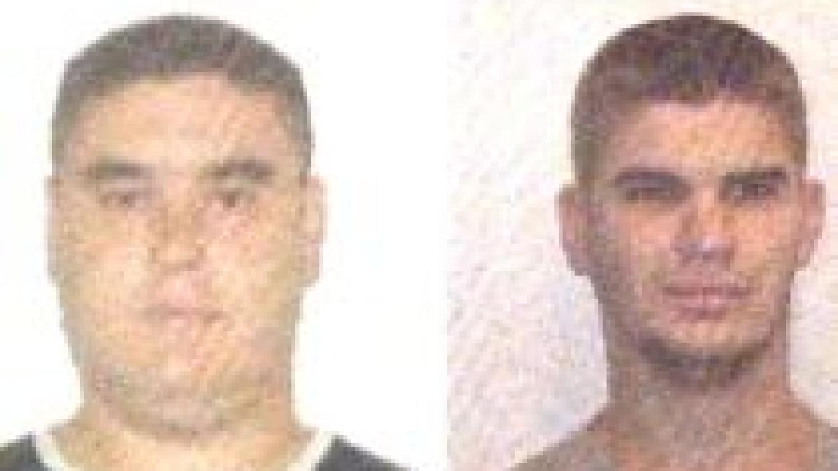 politia i a prins pe fratii iordan proprietarii depozitului unde au fost gasite armele de la