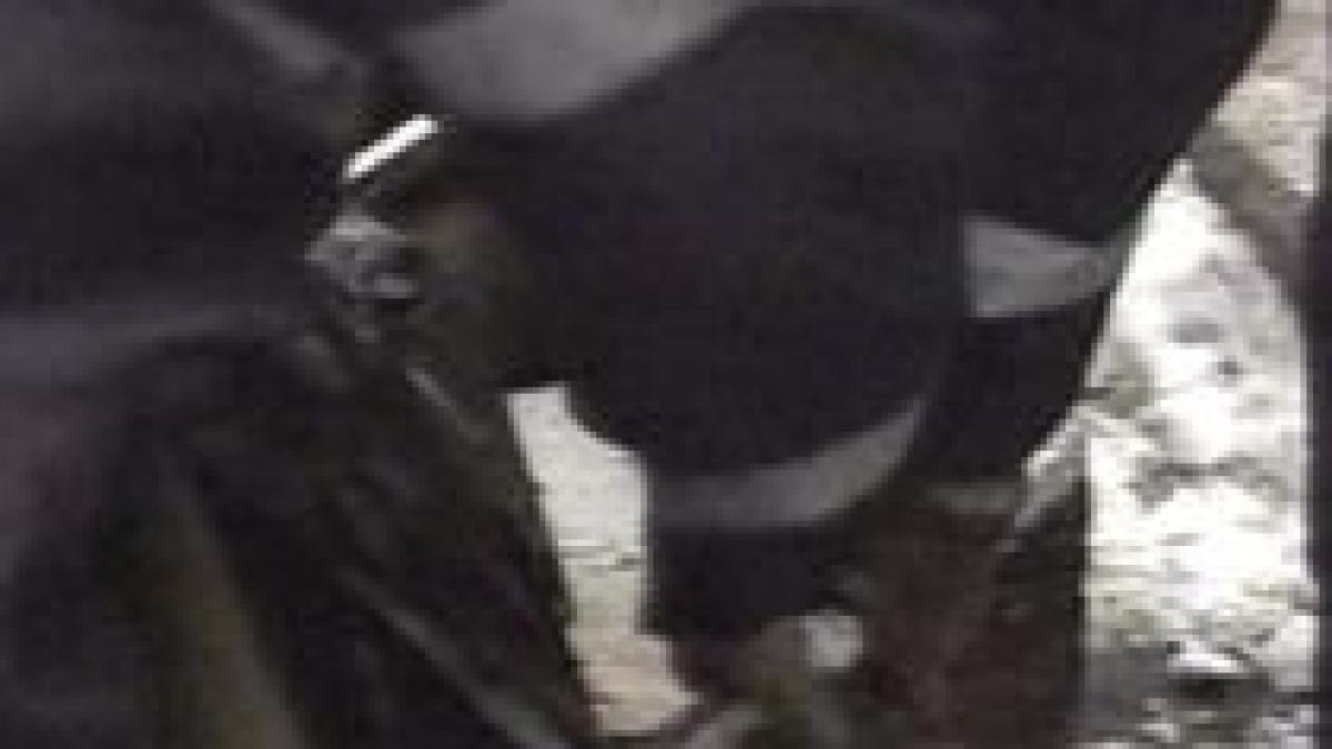 doua seifuri si trei cutii de valori pescuite din dambovita alte cinci seifuri gasite in lacul