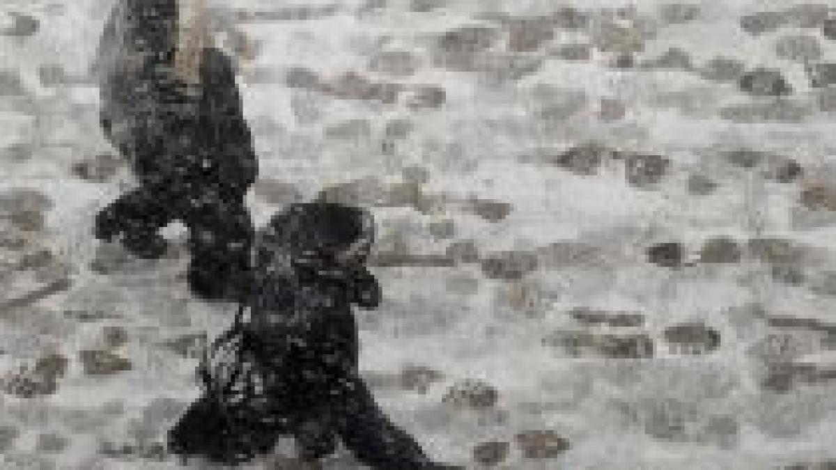 ninsorile au revenit in capitala si in mai multe judete din tara vezi prognoza meteo