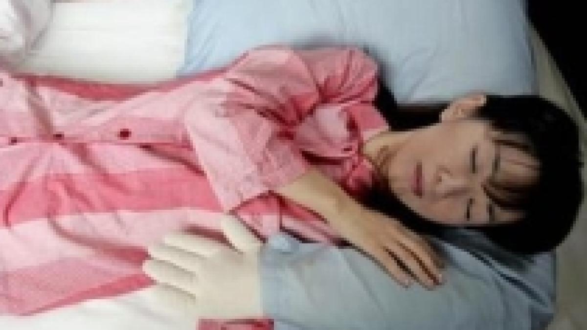 substituent pentru iubitul perfect perna care te tine in brate pe piata din japonia