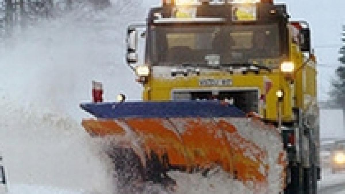 ninsori abundente in asia incendii devastatoare in australia