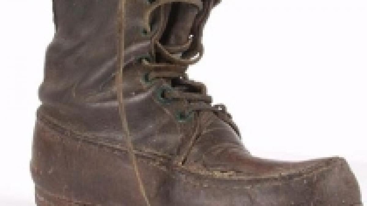 o femeie din alba a aruncat la gunoi o cizma in care sotul ei ascunsese 40 000 de euro