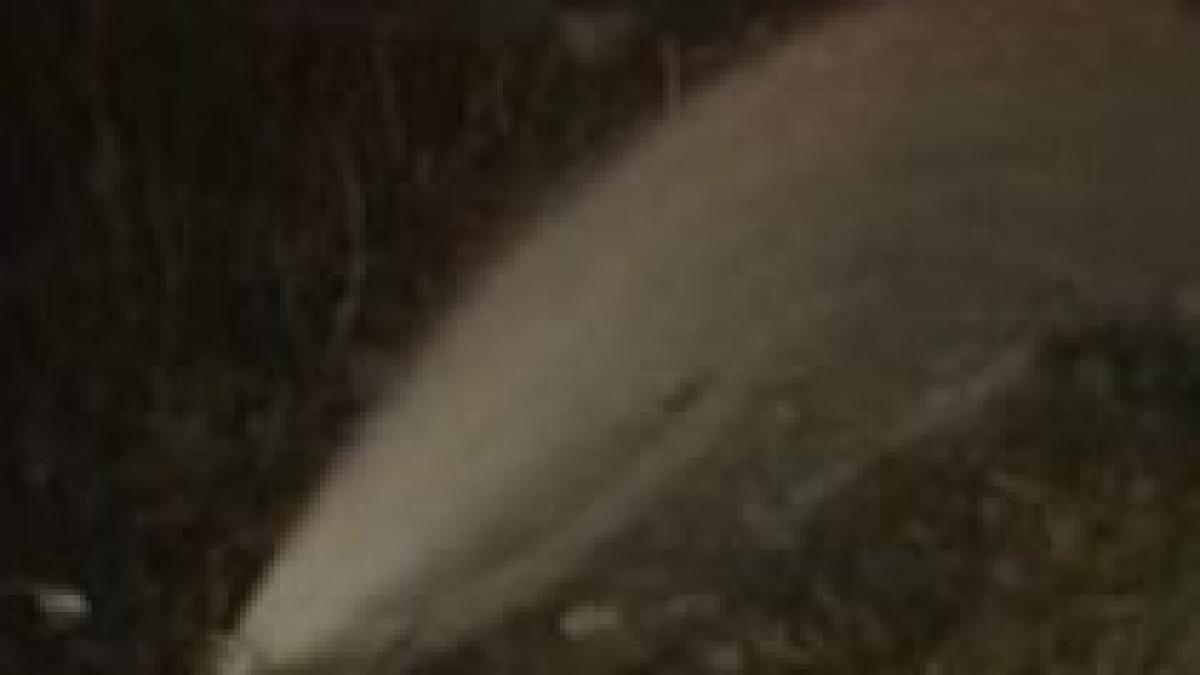 timis zeci de case inundate din cauza ploilor abundente si a topirii zapezii video