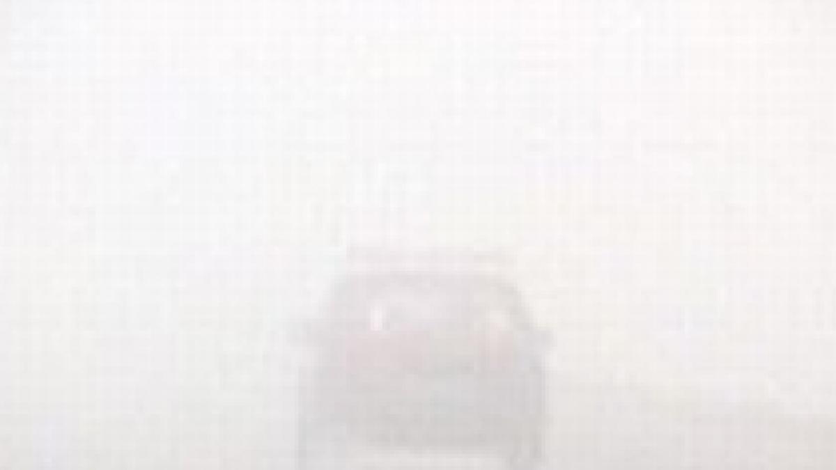 infotrafic circulatie rutiera ingreunata din cauza cetii