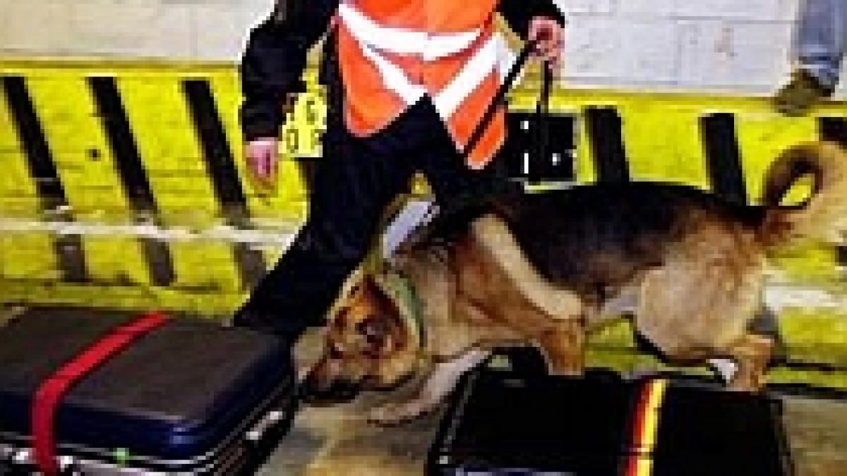 firma ce asigura paza si in romania acuzata de incompetenta in atentatul de la detroit