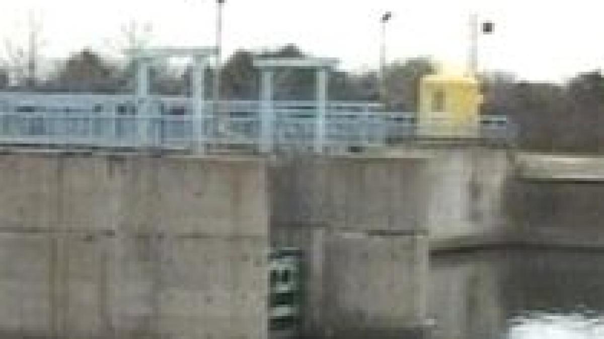 membrii unei grupari mafiote anchetate de diicot acuzati ca au ingropat oameni de vii