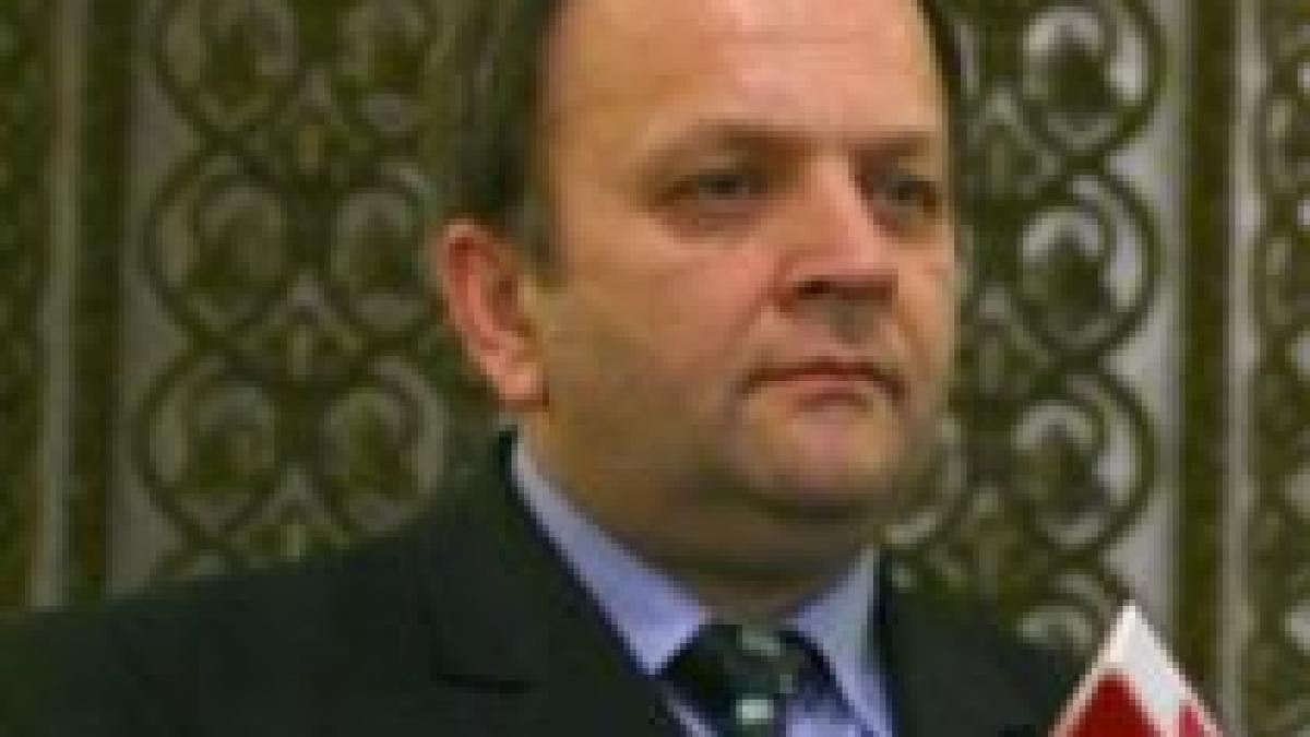 comisie de statut si colegiu director al pdl la sfarsitul lunii ianuarie