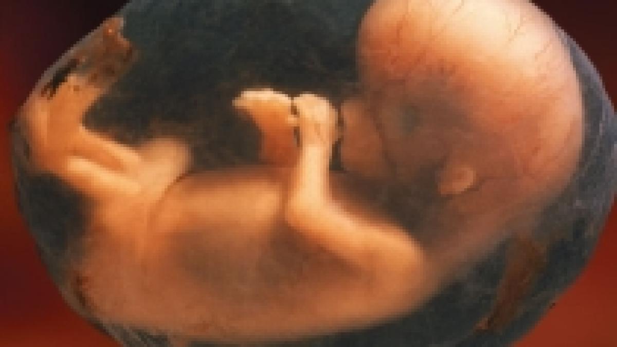 medicii olandezi au dezvoltat un test de sange pentru aflarea sexului fatului la femeile insarcinate